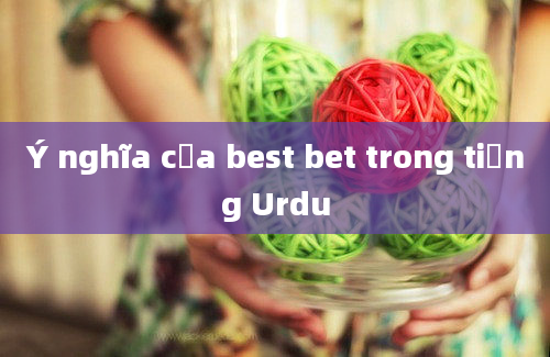 Ý nghĩa của best bet trong tiếng Urdu