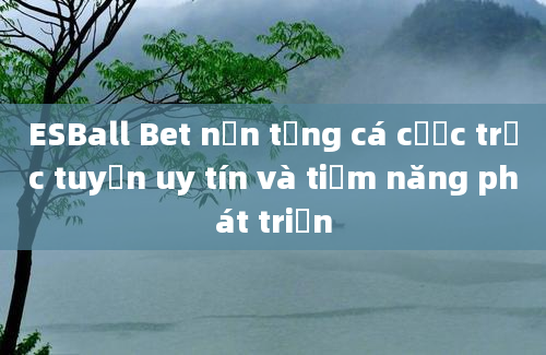 ESBall Bet nền tảng cá cược trực tuyến uy tín và tiềm năng phát triển