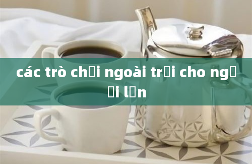 các trò chơi ngoài trời cho người lớn