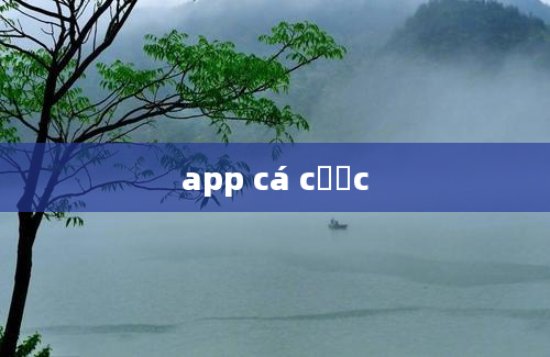 app cá cược