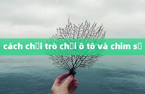 cách chơi trò chơi ô tô và chim sẻ