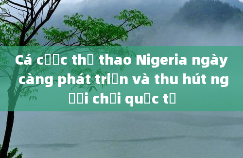 Cá cược thể thao Nigeria ngày càng phát triển và thu hút người chơi quốc tế