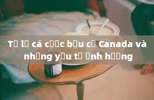 Tỷ lệ cá cược bầu cử Canada và những yếu tố ảnh hưởng