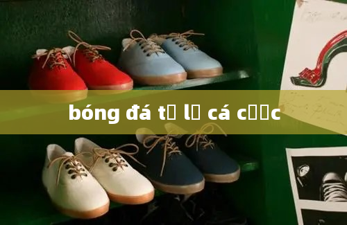 bóng đá tỷ lệ cá cược