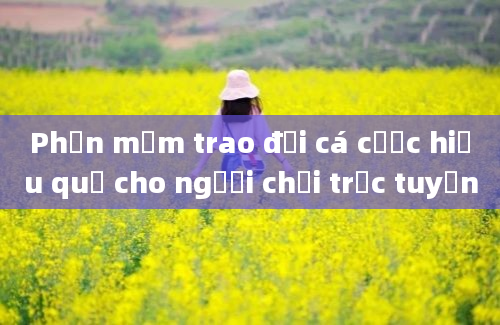 Phần mềm trao đổi cá cược hiệu quả cho người chơi trực tuyến