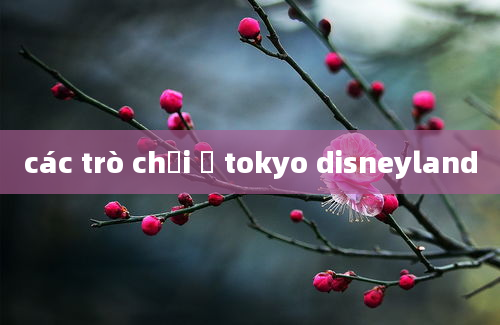 các trò chơi ở tokyo disneyland