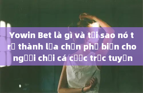 Yowin Bet là gì và tại sao nó trở thành lựa chọn phổ biến cho người chơi cá cược trực tuyến