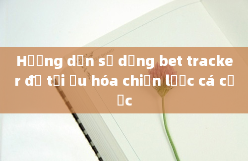 Hướng dẫn sử dụng bet tracker để tối ưu hóa chiến lược cá cược