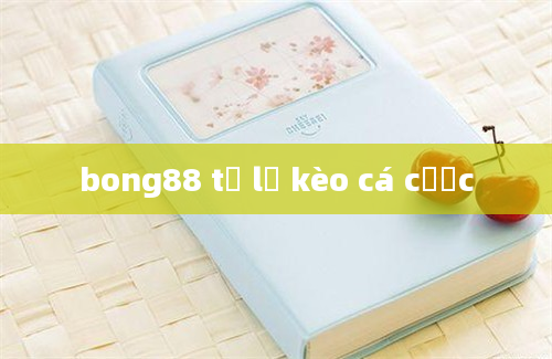 bong88 tỷ lệ kèo cá cược