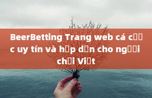 BeerBetting Trang web cá cược uy tín và hấp dẫn cho người chơi Việt