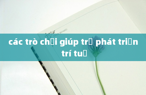 các trò chơi giúp trẻ phát triển trí tuệ