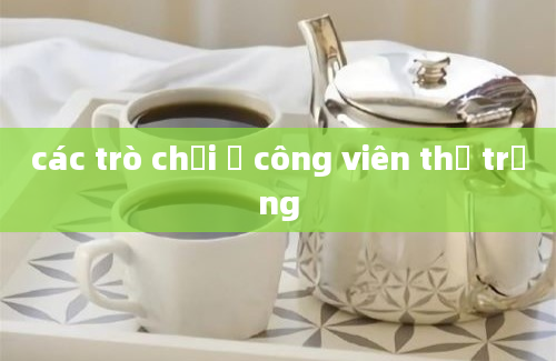 các trò chơi ở công viên thỏ trắng