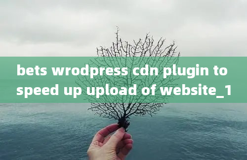 bets wrodpress cdn plugin to speed up upload of website_1