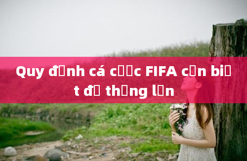 Quy định cá cược FIFA cần biết để thắng lớn