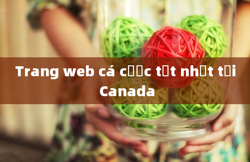 Trang web cá cược tốt nhất tại Canada