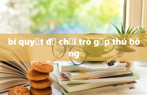 bí quyết để chơi trò gắp thú bông