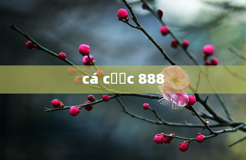 cá cược 888