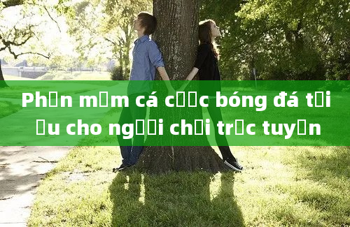 Phần mềm cá cược bóng đá tối ưu cho người chơi trực tuyến