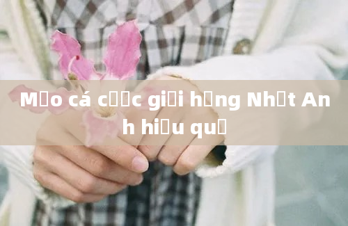 Mẹo cá cược giải hạng Nhất Anh hiệu quả