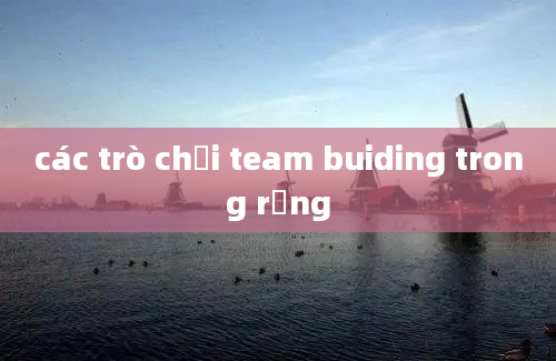 các trò chơi team buiding trong rừng