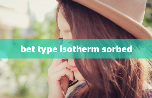 bet type isotherm sorbed