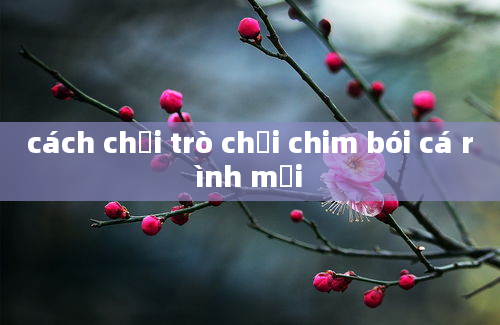 cách chơi trò chơi chim bói cá rình mồi