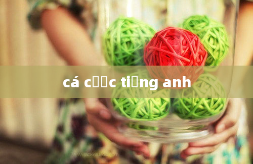 cá cược tiếng anh