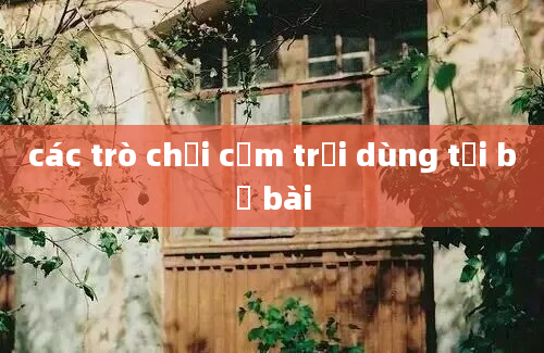 các trò chơi cắm trại dùng tới bộ bài