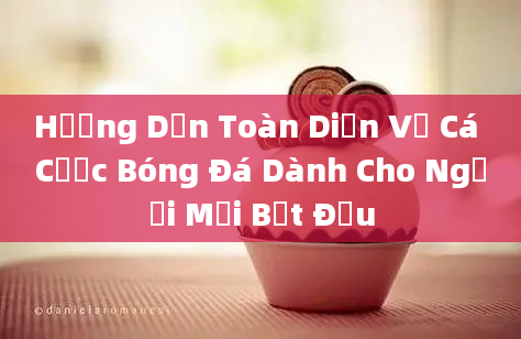 Hướng Dẫn Toàn Diện Về Cá Cược Bóng Đá Dành Cho Người Mới Bắt Đầu