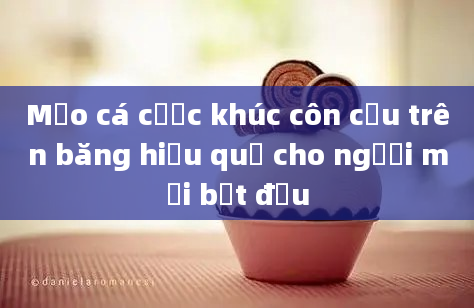 Mẹo cá cược khúc côn cầu trên băng hiệu quả cho người mới bắt đầu