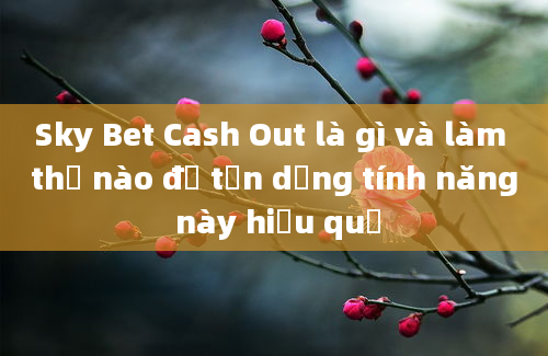 Sky Bet Cash Out là gì và làm thế nào để tận dụng tính năng này hiệu quả