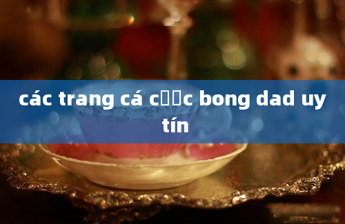 các trang cá cược bong dad uy tín