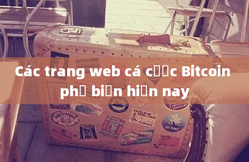 Các trang web cá cược Bitcoin phổ biến hiện nay