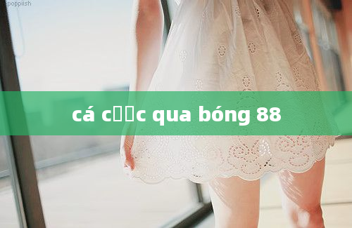 cá cược qua bóng 88