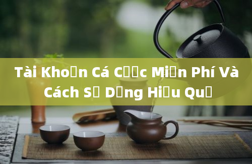 Tài Khoản Cá Cược Miễn Phí Và Cách Sử Dụng Hiệu Quả