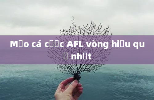 Mẹo cá cược AFL vòng hiệu quả nhất