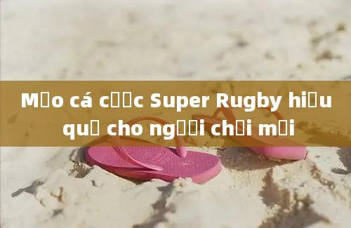 Mẹo cá cược Super Rugby hiệu quả cho người chơi mới