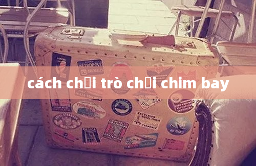 cách chơi trò chơi chim bay