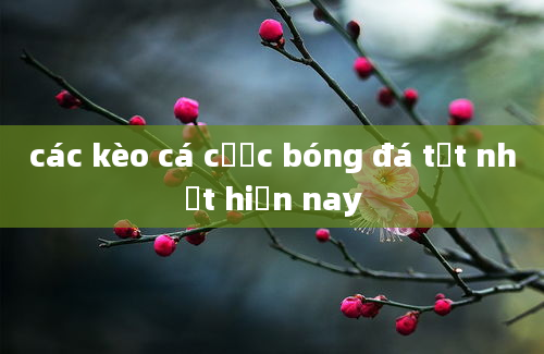 các kèo cá cược bóng đá tốt nhất hiện nay