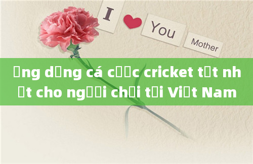 Ứng dụng cá cược cricket tốt nhất cho người chơi tại Việt Nam