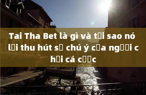 Tai Tha Bet là gì và tại sao nó lại thu hút sự chú ý của người chơi cá cược