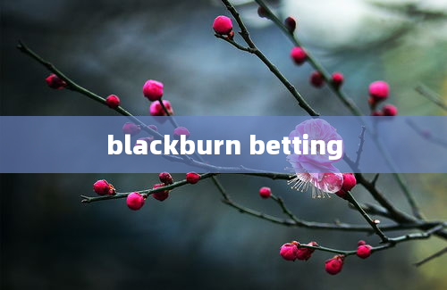 blackburn betting