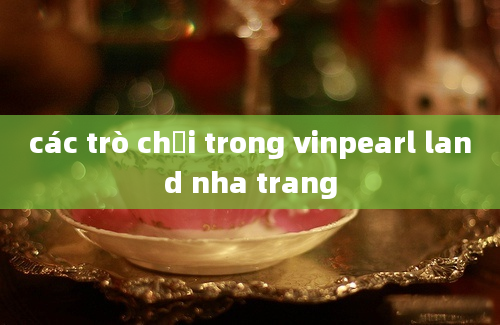 các trò chơi trong vinpearl land nha trang