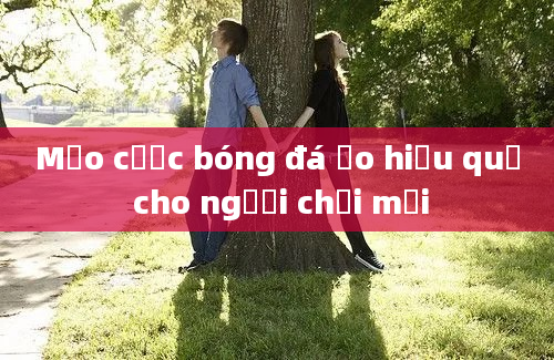 Mẹo cược bóng đá ảo hiệu quả cho người chơi mới