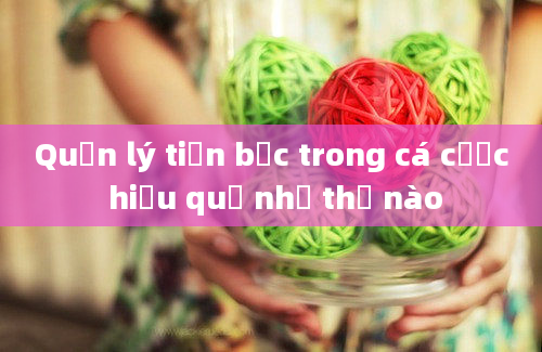 Quản lý tiền bạc trong cá cược hiệu quả như thế nào