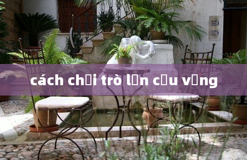 cách chơi trò lộn cầu vồng