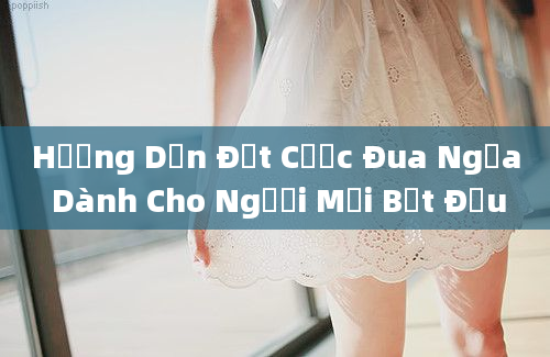 Hướng Dẫn Đặt Cược Đua Ngựa Dành Cho Người Mới Bắt Đầu