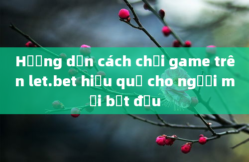 Hướng dẫn cách chơi game trên let.bet hiệu quả cho người mới bắt đầu