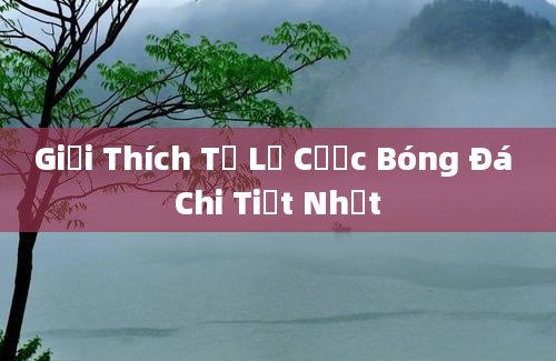 Giải Thích Tỷ Lệ Cược Bóng Đá Chi Tiết Nhất