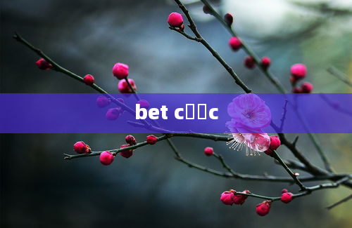 bet cược